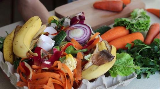 食物垃圾處理器，您了解過(guò)嗎?