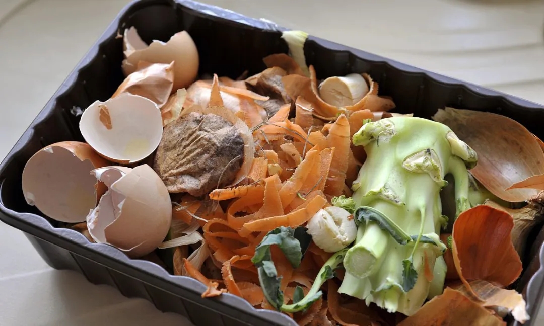 廚房垃圾引起的危害，廚余垃圾處理器真能解決嗎？